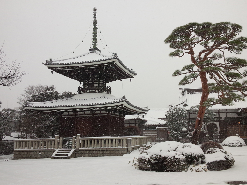 夏が近づいてきたからこそ、雪の護国寺を画像を貼ります。