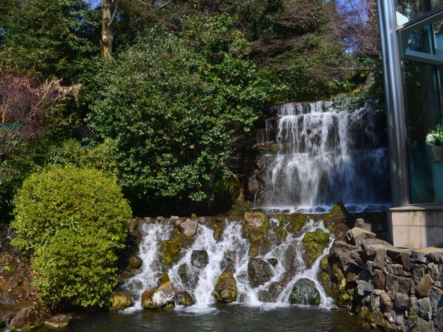 椿山荘の五丈の滝-神楽坂散歩