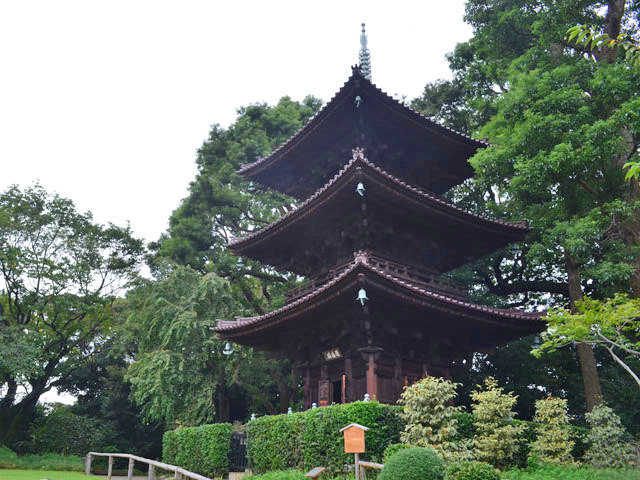 文京区には椿山荘がある！東京の真ん中で一流の庭園とホテルを体感できる場所
