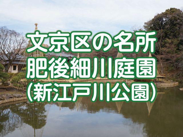 新江戸川公園(肥後細川庭園)に行ってきた！見どころ・アクセスを解説