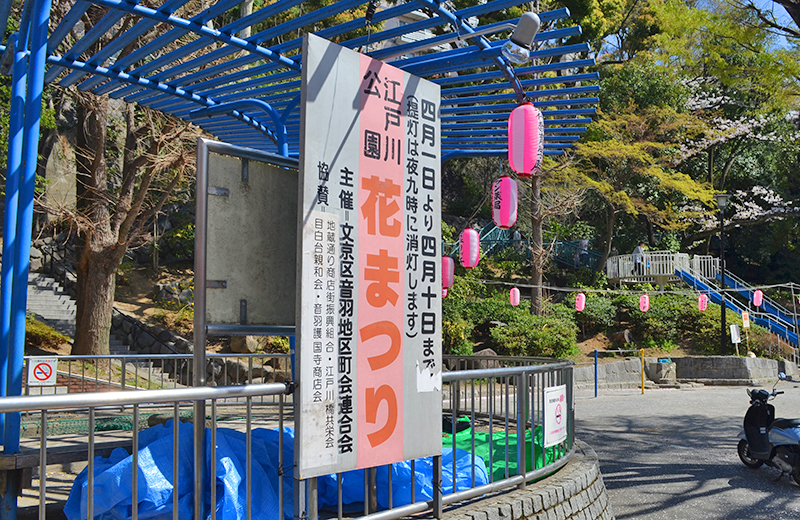 江戸川公園「花まつり」開催中